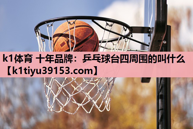 乒乓球台四周围的叫什么