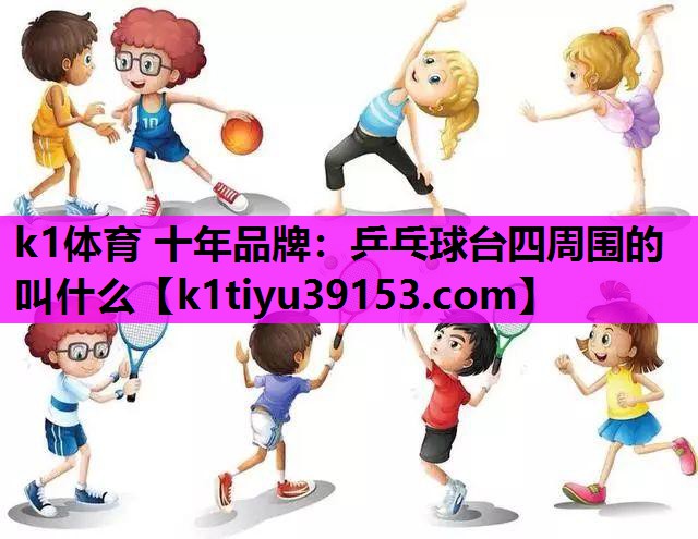 乒乓球台四周围的叫什么