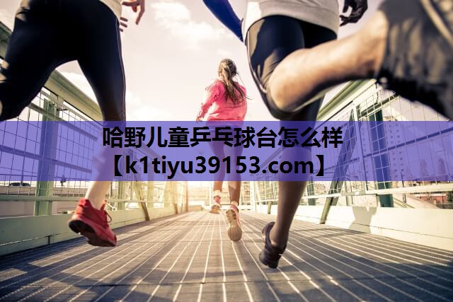 哈野儿童乒乓球台怎么样