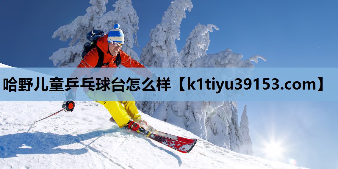 哈野儿童乒乓球台怎么样