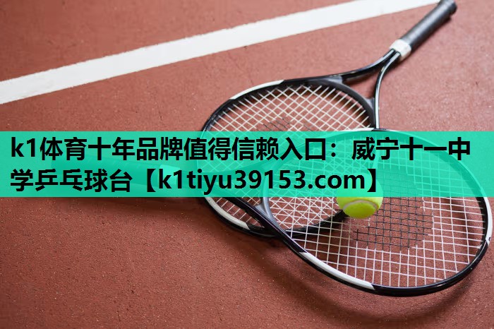 威宁十一中学乒乓球台