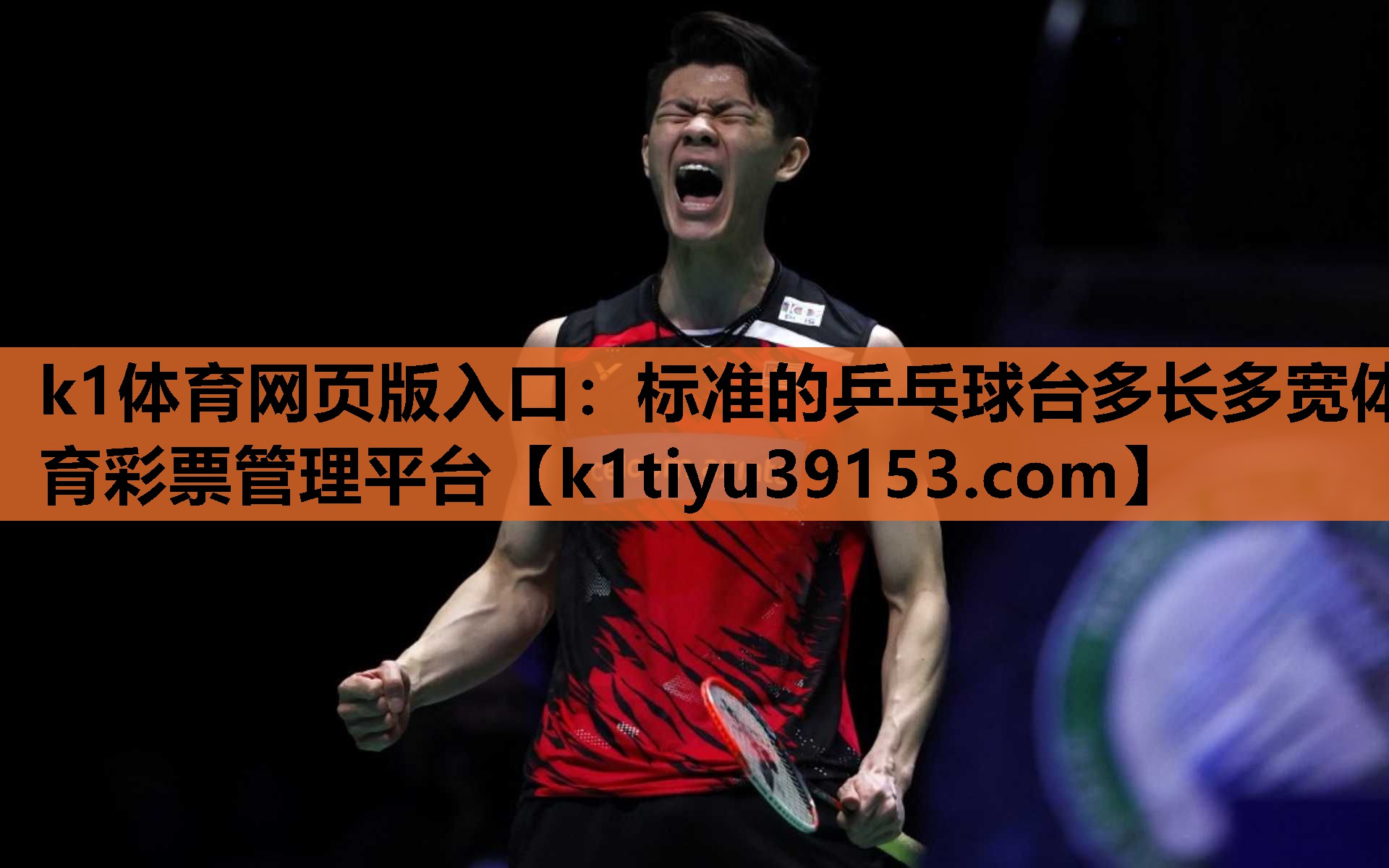 k1体育网页版入口：标准的乒乓球台多长多宽体育彩票管理平台