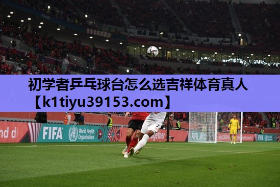 初学者乒乓球台怎么选吉祥体育真人