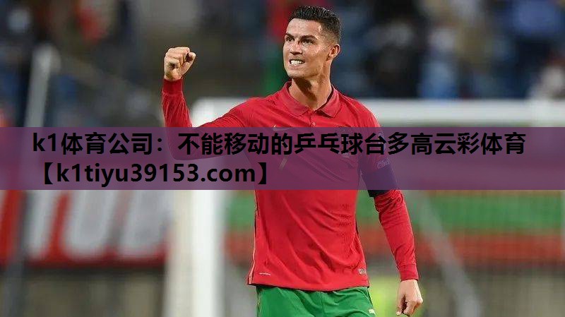 k1体育公司：不能移动的乒乓球台多高云彩体育