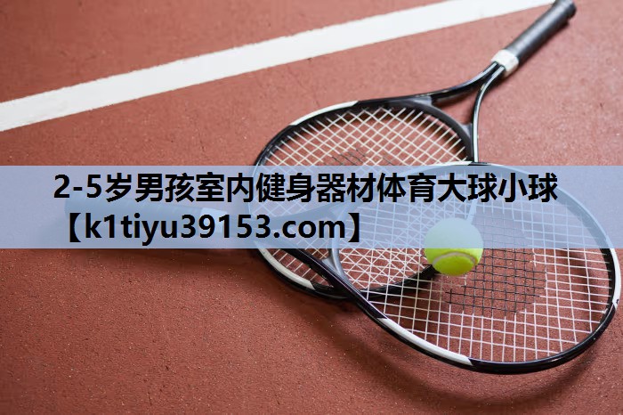 2-5岁男孩室内健身器材体育大球小球