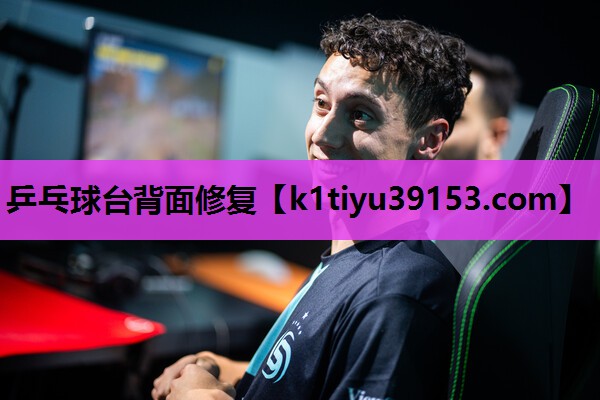 乒乓球台背面修复
